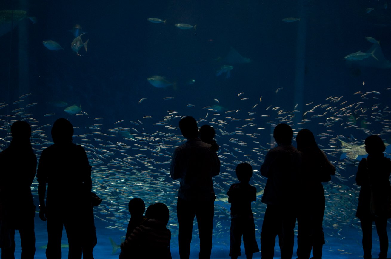Kagoshima City Aquarium