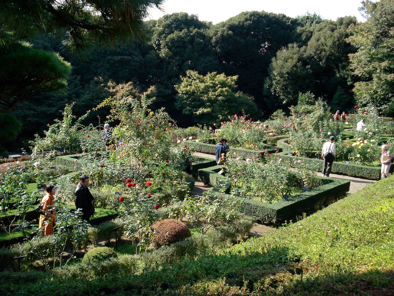 Kyu-Furukawa Gardens 